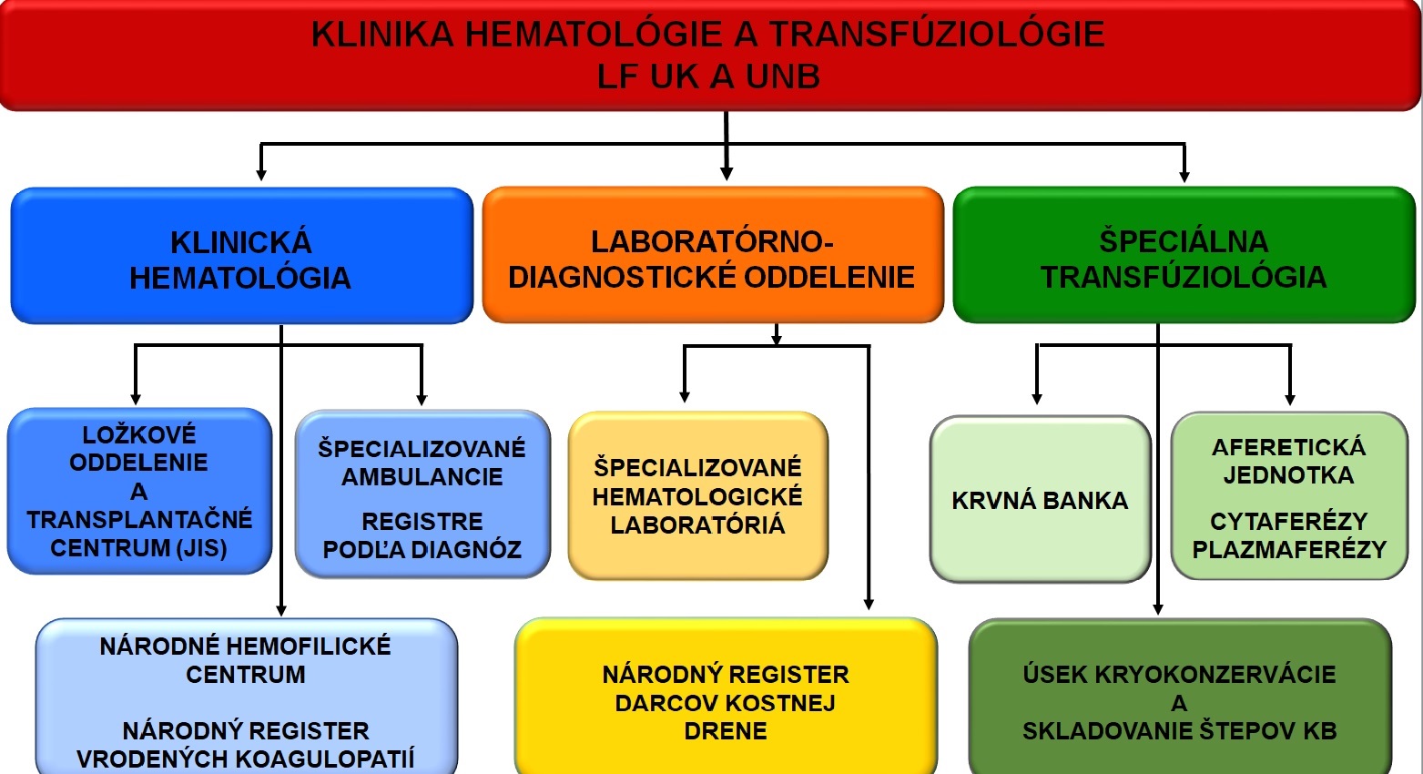 Hematológia 2