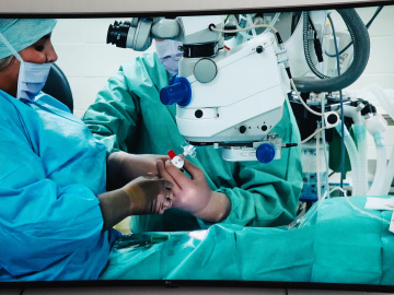 450427692_796468016025824_3819763268640185254_n